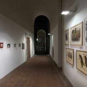 Codici Sorgenti Palazzo Platamone CT 01.2016_0226