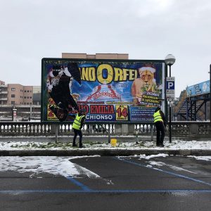 1_narcissus-_reggio-emilia-feb-2019