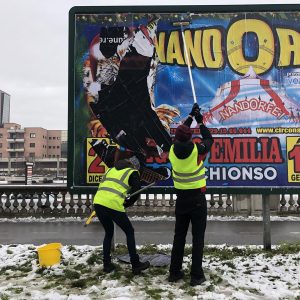2_narcissus-_reggio-emilia-feb-2019