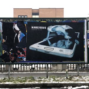 5_narcissus-_reggio-emilia-feb-2019
