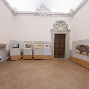 EricaIlcane_PotenteDiFuoco_2020Ravenna_143
