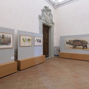 EricaIlcane_PotenteDiFuoco_2020Ravenna_164