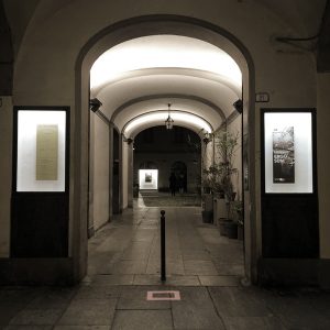 IMG_8366