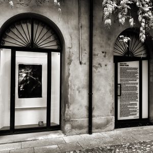 IMG_8399