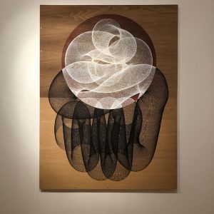 IMG_8816