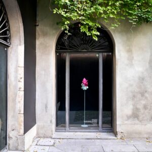 8_Federico-Fauli-0028