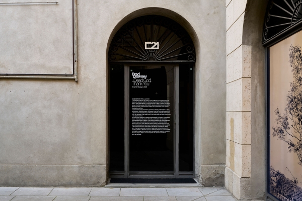 05_Brad-Downey-installazione-0186