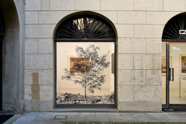 06_Brad-Downey-installazione-0167
