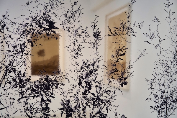 09_Brad-Downey-installazione-0200