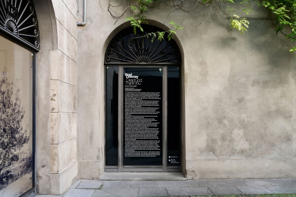 10_Brad-Downey-installazione-0182