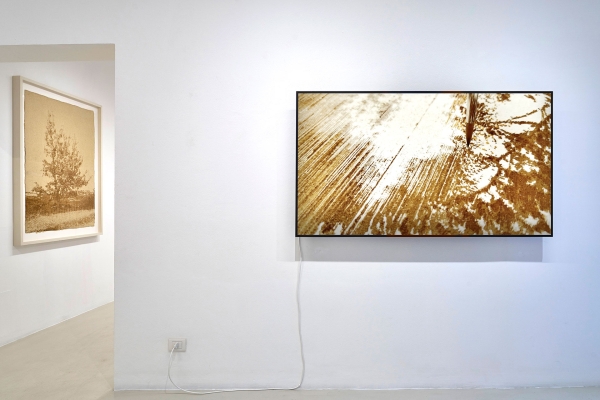 27_Brad-Downey-installazione-0282_mod